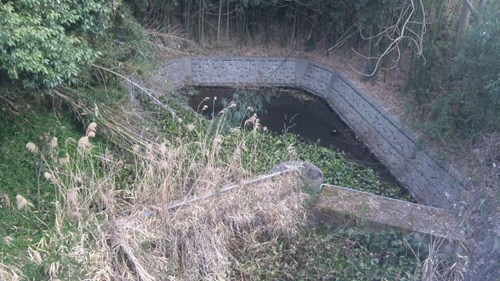 墓地南に広がる藪に面した道路を東へ向かって藪をいったん抜けるが、まだ続きのように竹林が見える。ガードレールの下を撮影。コンクリブロックの溜池のような設備が見える。撮影時、鷺が飛び立ったので魚がいるかも