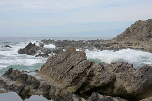 【横須賀市】荒崎海岸の画像