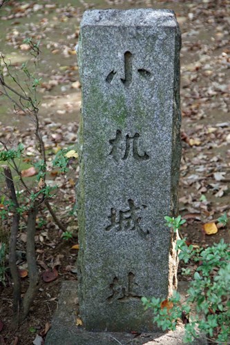 【神奈川県】小机城址の画像