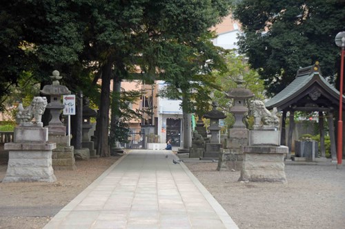 【東村山市】八坂神社(東村山市)の画像