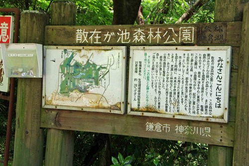 散在ガ池森林公園(鎌倉湖)