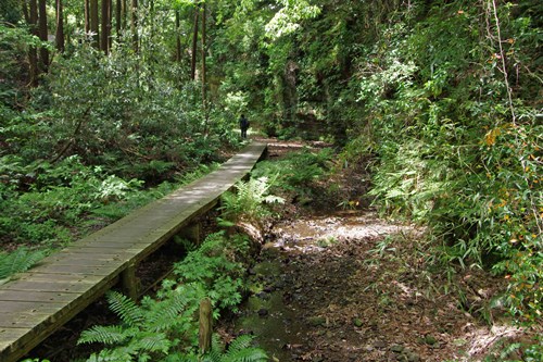 散在ガ池森林公園(鎌倉湖)の写真