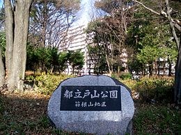 都立戸山公園の写真