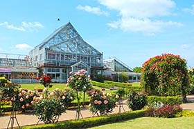 【千葉県】清水公園の画像