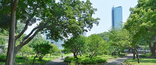 芝公園の写真