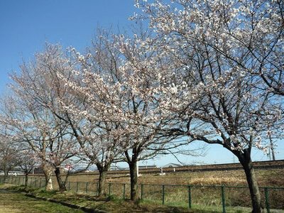 【岐阜県】日之出公園の画像