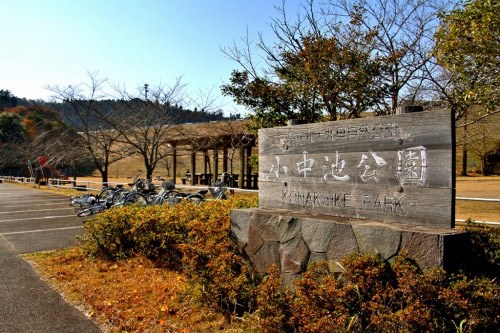 【千葉県】小中池の画像