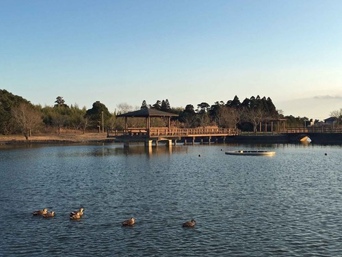 宮島池の写真