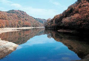 【宮城県】サイカチ沼の画像