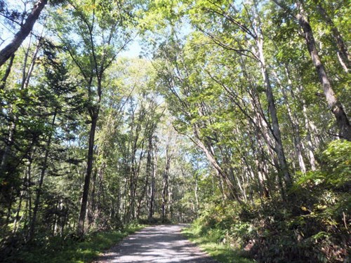 【上川郡鷹栖町】嵐山展望台の画像