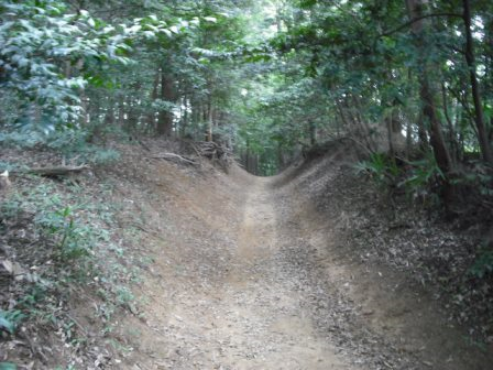 ふるさとの緑の景観地