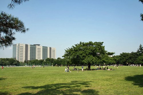 武蔵野中央公園の写真