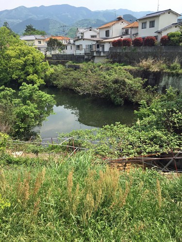 【伊予郡砥部町】原池の画像