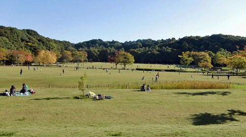 【松戸市】21世紀の森と広場の画像