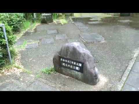 【京都府】天蓋の花公園の画像