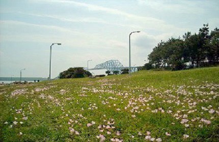 若洲海浜公園の写真