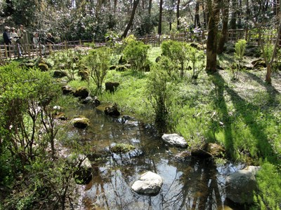 じゅんさい池公園