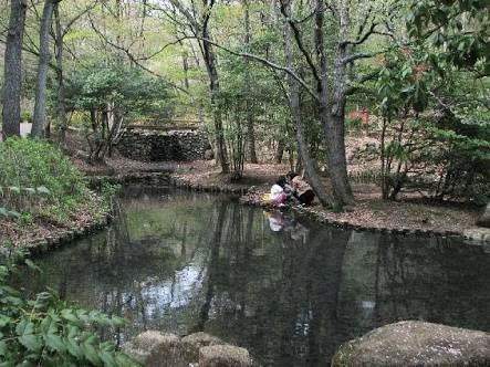 平山城址公園の写真