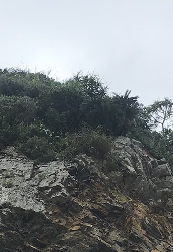 【国頭郡国頭村】死体が上がる海岸の画像