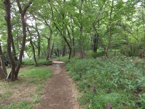 黒川清流公園