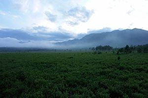 【栃木県】戦場ヶ原の画像