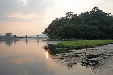 【日田市】亀山公園（日隈神社）の画像