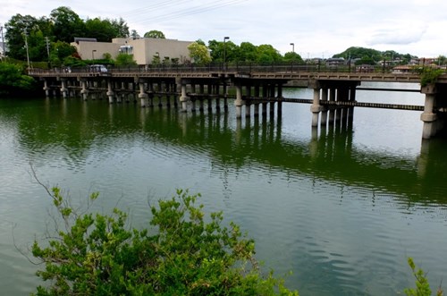 【奈良県】大渕池の画像