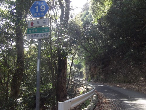 【鹿児島市】錫山自然遊歩道の画像