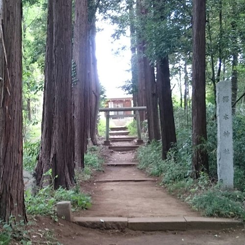 桜木神社