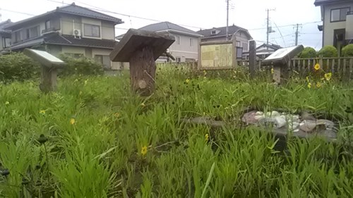 【深谷市】桜ヶ丘組石遺跡の画像