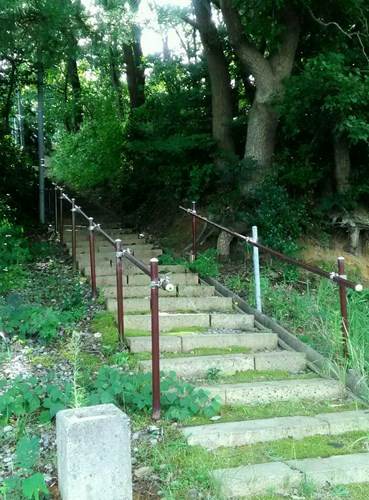 この階段を登れば細川旅館を見れます