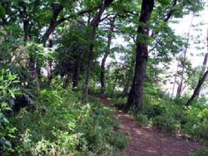 【中野区】旧日本陸軍中野病院跡の画像