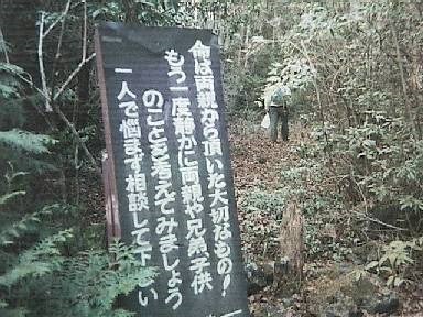 【山梨県】青木ヶ原樹海の画像