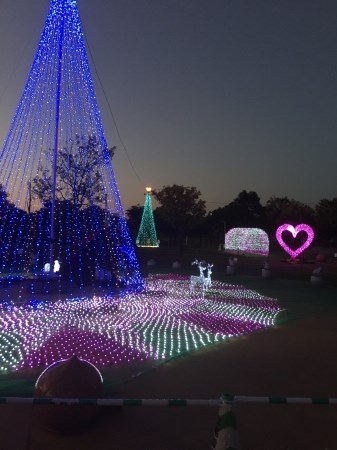 熊本県水俣市エコパーク