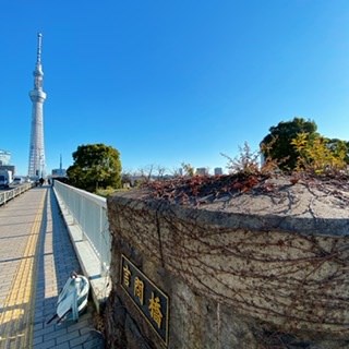 【東京都】言問橋の画像