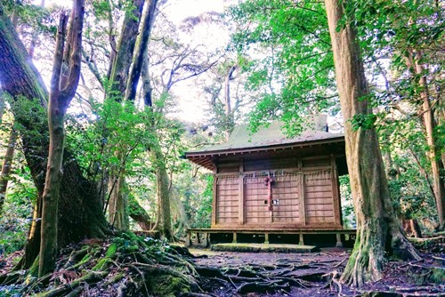 波治加麻神社