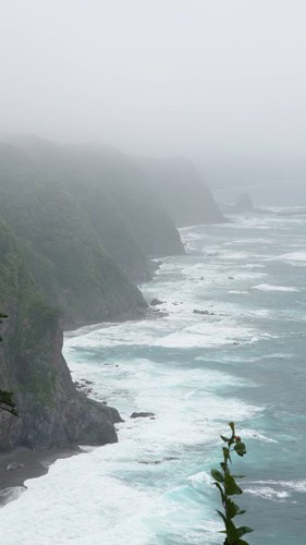 【下閉伊郡田野畑村】鵜の巣断崖の画像