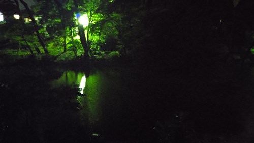 【福島県】翠ヶ丘公園の画像