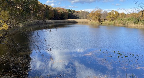 鶴田沼(ひょうたん沼)の写真