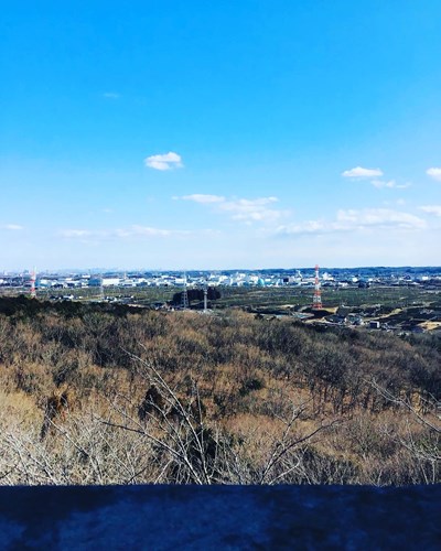 【埼玉県】桜山展望台 の画像