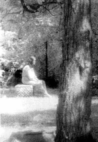 バチェラーズ・グローブ墓地(Bachelor’s Grove Cemetery)の写真