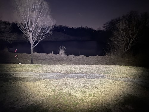 【埼玉県】びん沼の画像