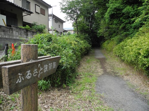 【さいたま市】岩槻城址公園の画像