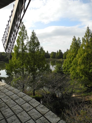 2019年10月10日撮影
展望台 公園内を望む