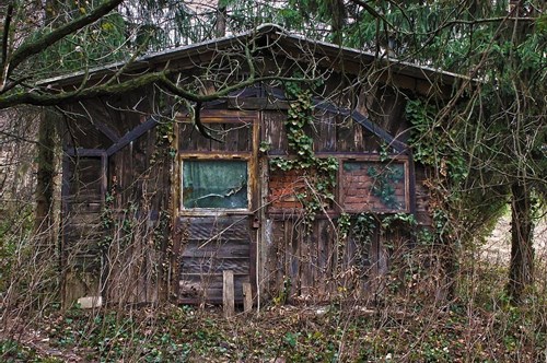 岩屋寺の写真