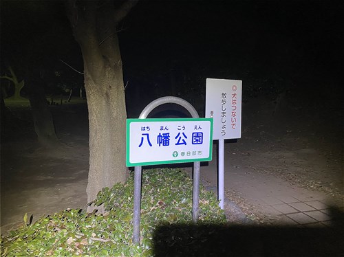 春日部八幡神社(八幡公園)の写真