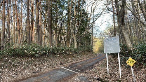 【山県郡北広島町】臥竜山の画像