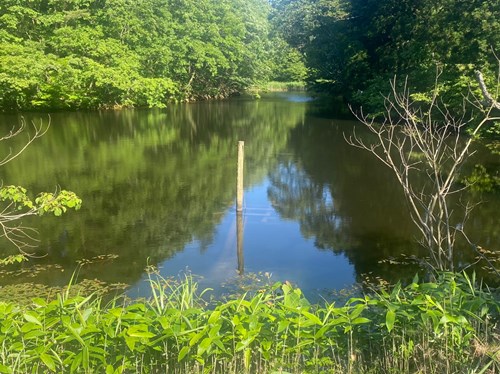 桃川峠の写真