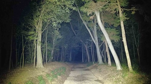 【埼玉県】藤波・中分ふるさとのみどりの景観地(痴漢山)の画像