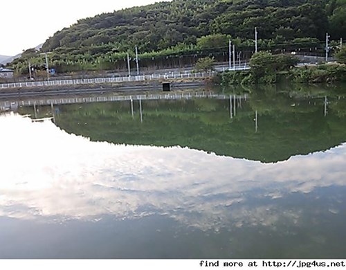 八幡池の写真